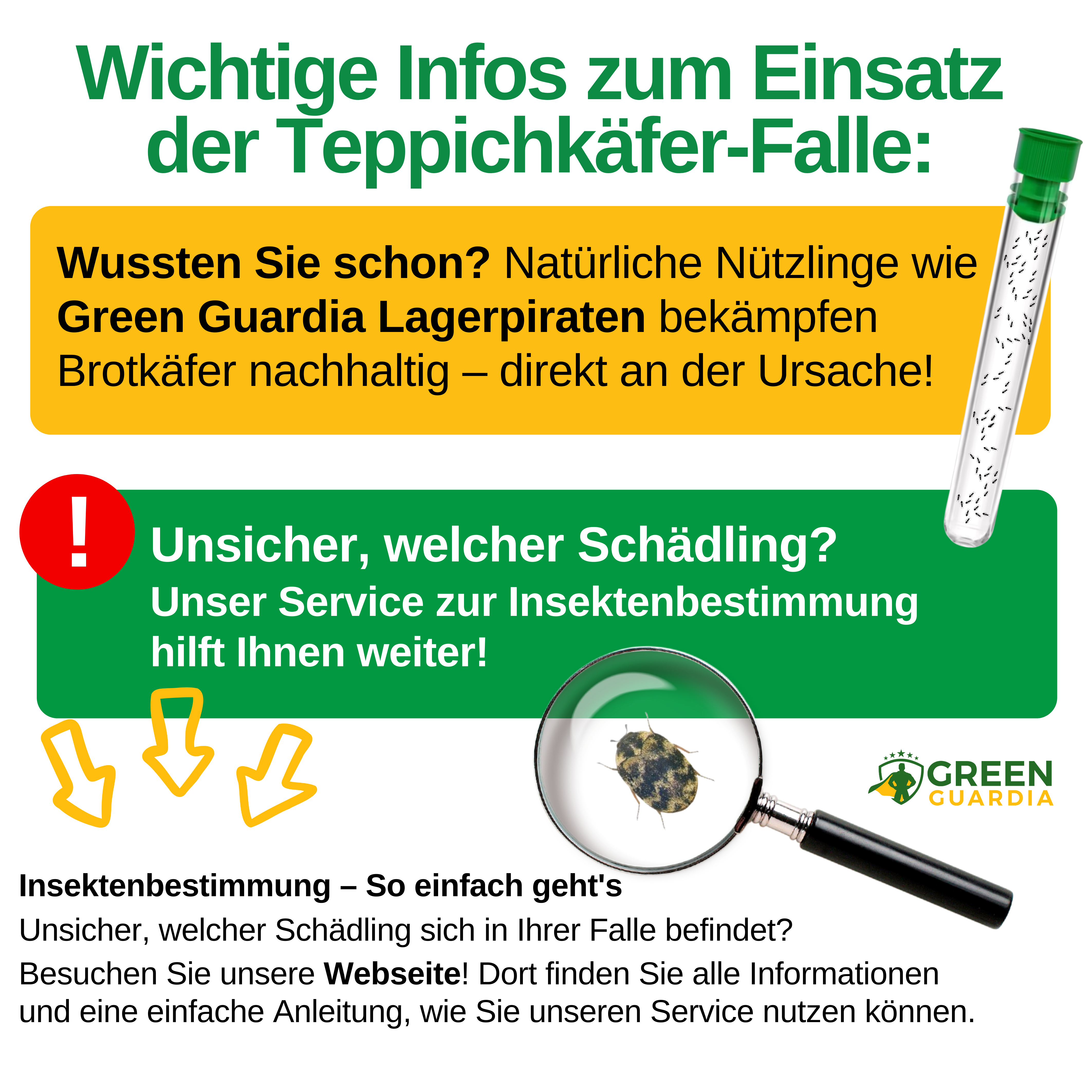 Teppichkäfer Falle mit Pheromon-Lockstoff