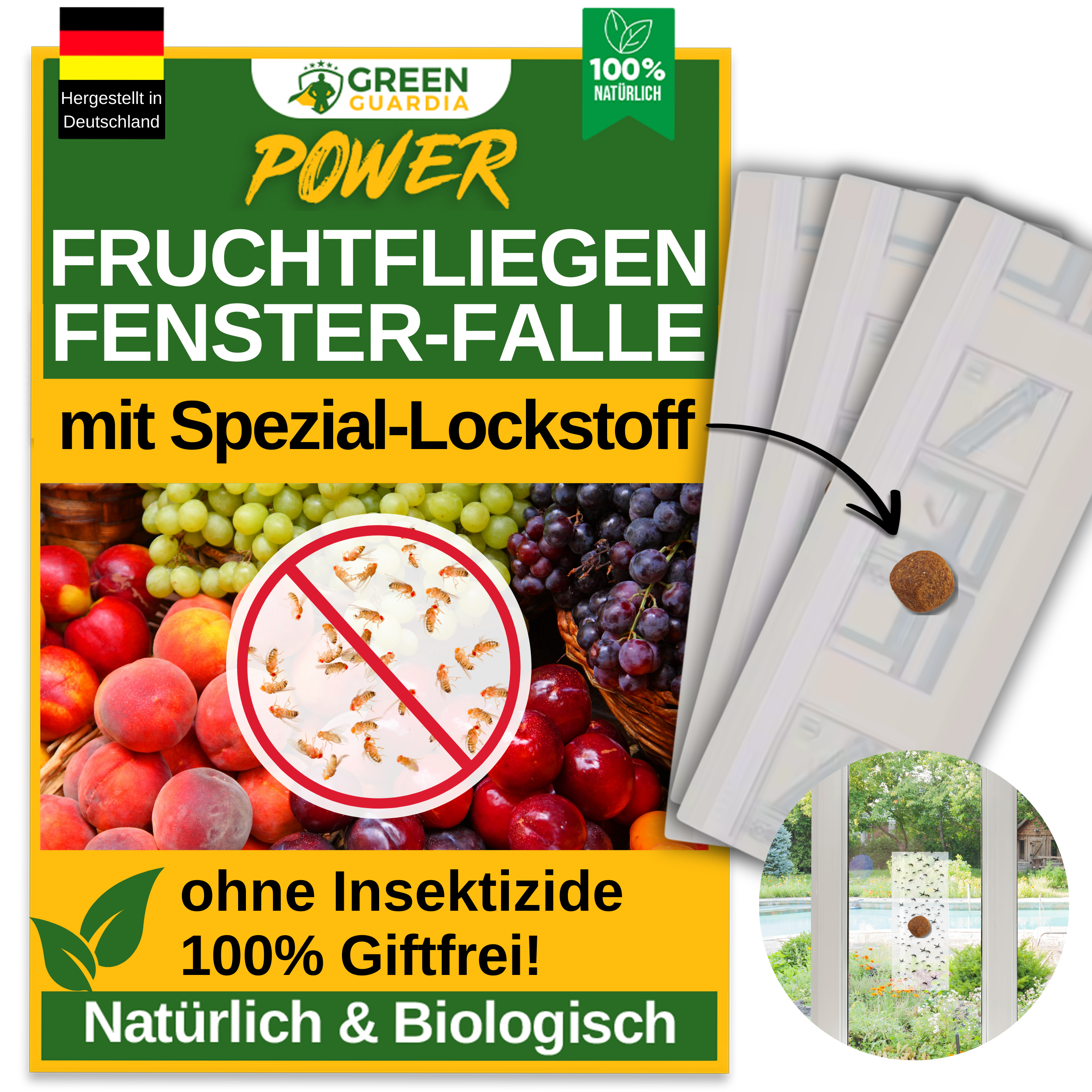 Fruit fly window trap with special attractant 