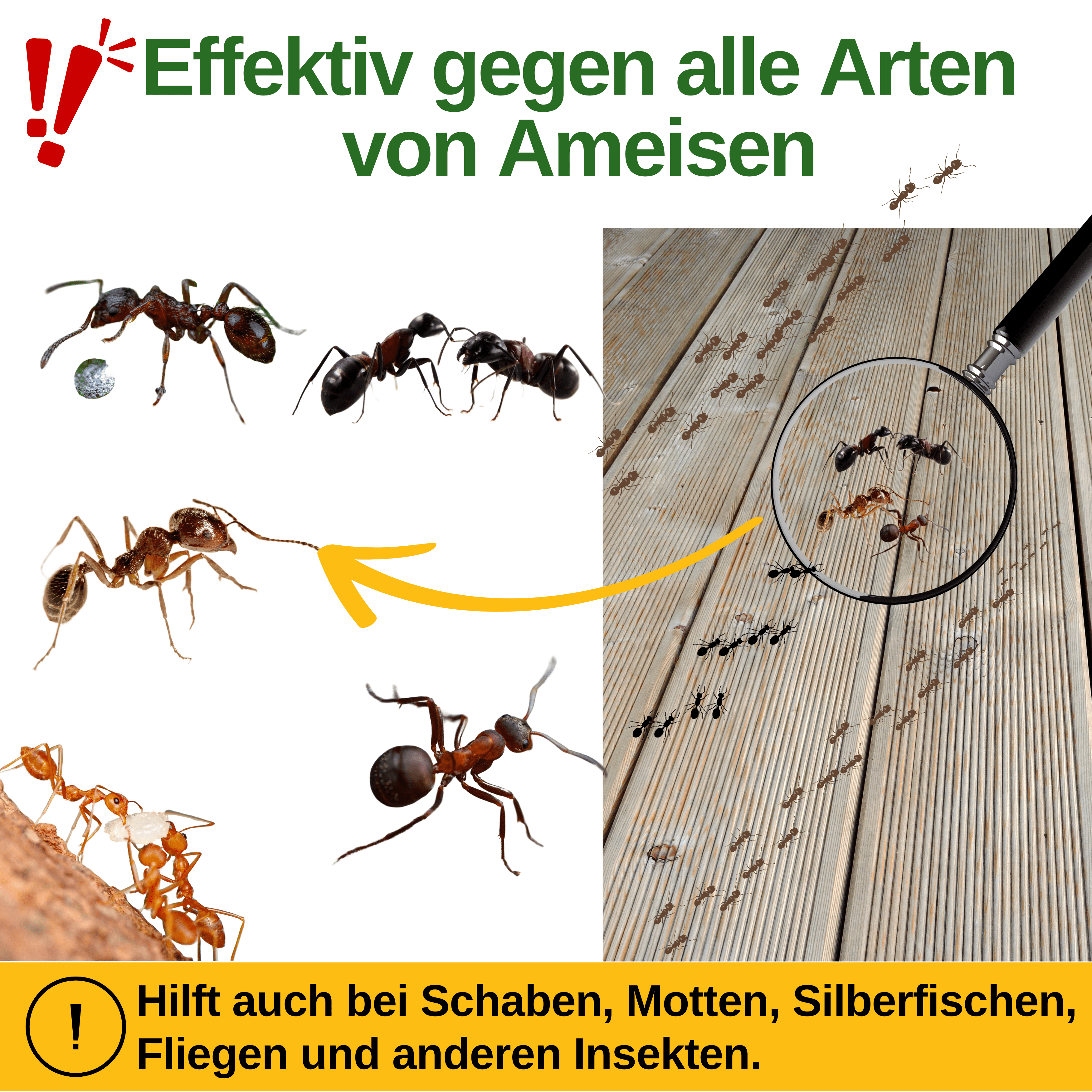 Ameisen Abwehrspray Power - Konzentrat - Green Guardia - Ihr Experte für Schädlinge und Pflanzen