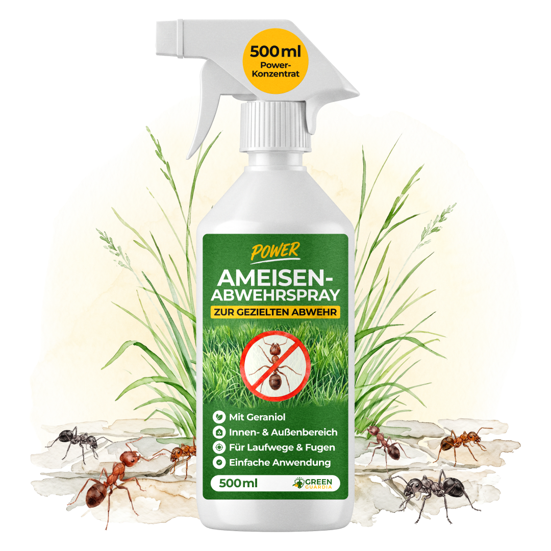 Ameisen Abwehrspray Power-Konzentrat - 500ml