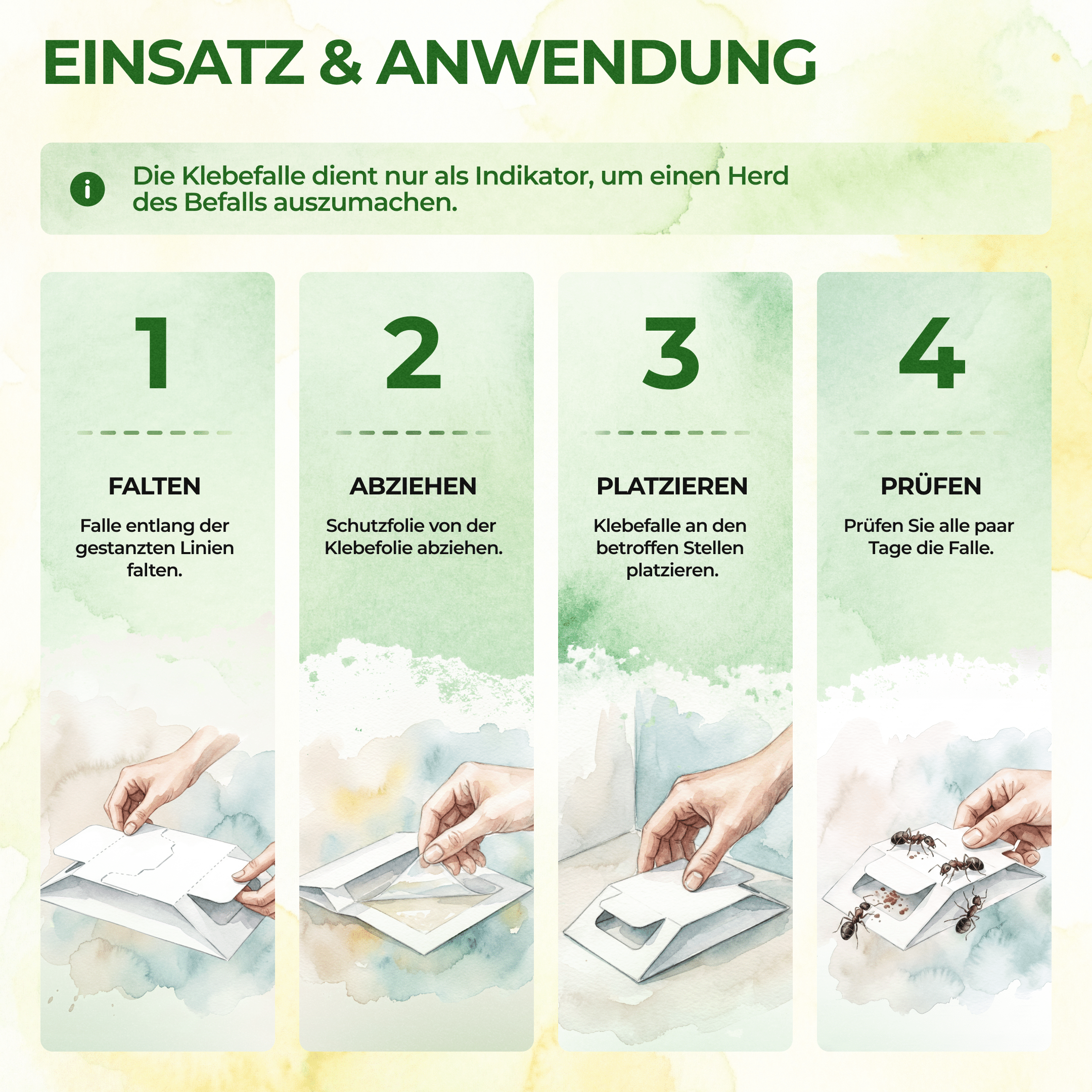 Ameisen Falle - Green Guardia - Ihr Experte für Schädlinge und Pflanzen