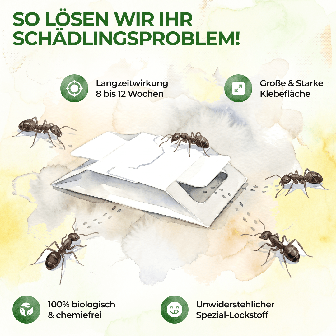 Ameisen Falle - Green Guardia - Ihr Experte für Schädlinge und Pflanzen