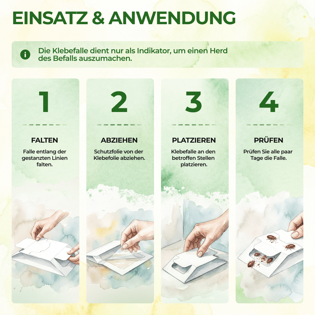 Bettwanzen Falle - Green Guardia - Ihr Experte für Schädlinge und Pflanzen