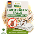 Brotkäfer Falle