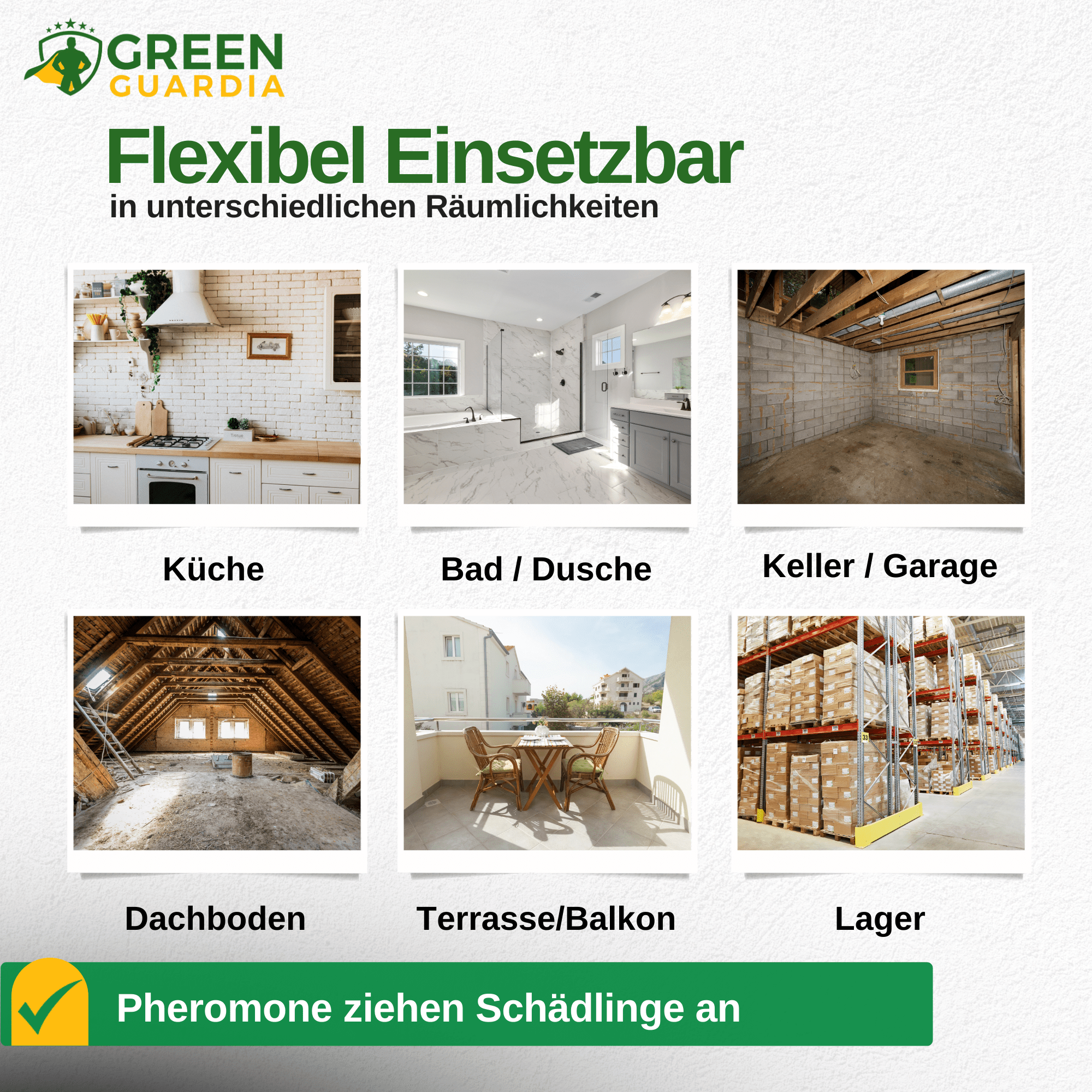 Brotkäfer Falle mit Pheromon - Lockstoff - Green Guardia - Ihr Experte für Schädlinge und Pflanzen