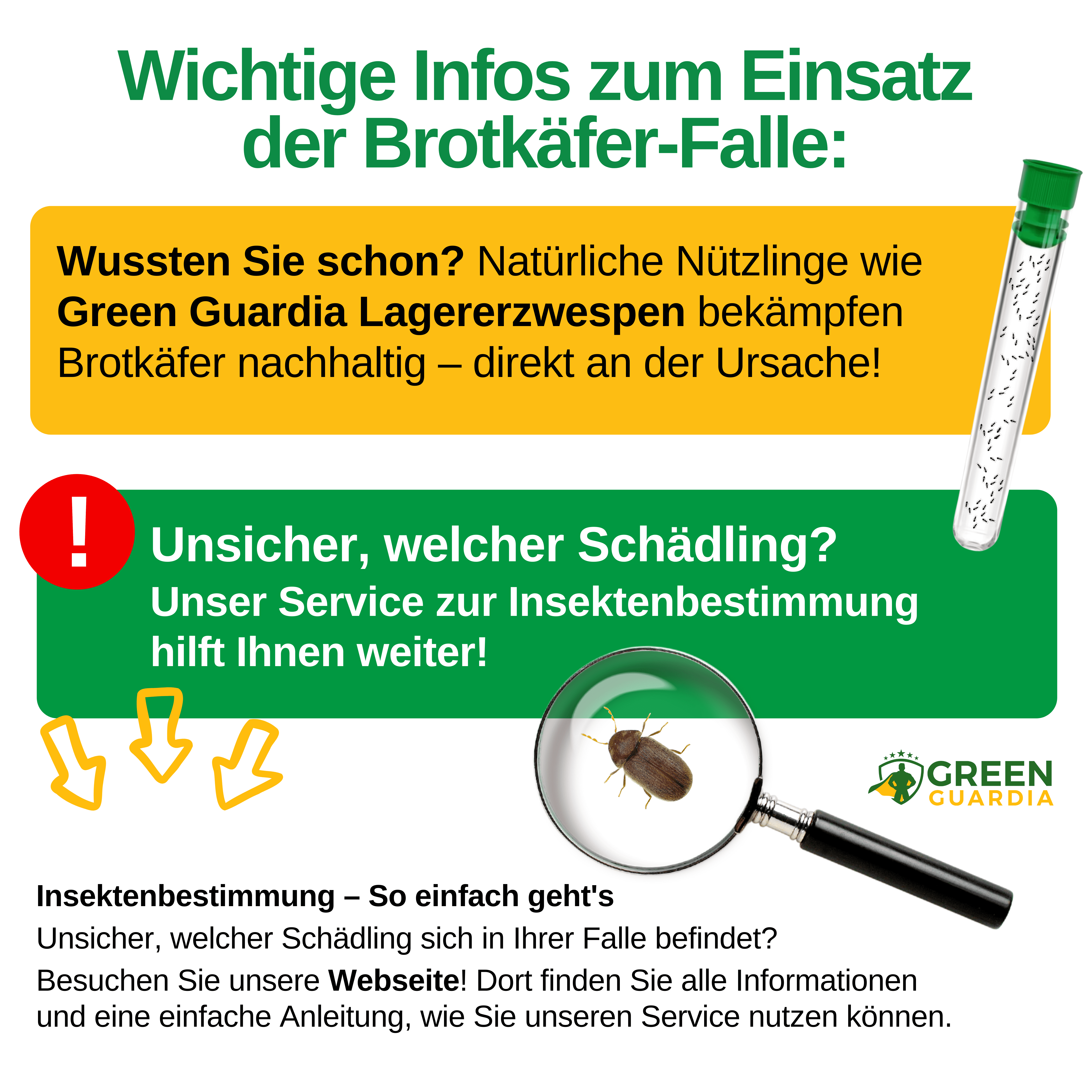 Brotkäfer Falle mit Pheromon - Lockstoff - Green Guardia - Ihr Experte für Schädlinge und Pflanzen