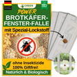 Bread beetle window trap