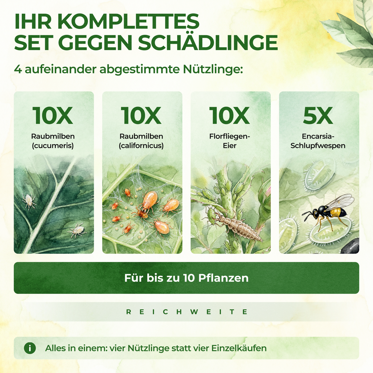 Kit antiparasitaire pour 10 plantes 