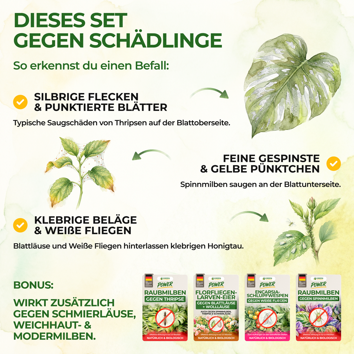 Kit antiparasitaire pour 5 plantes 