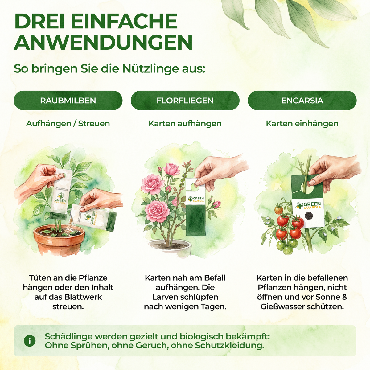 Kit antiparasitaire pour 5 plantes 