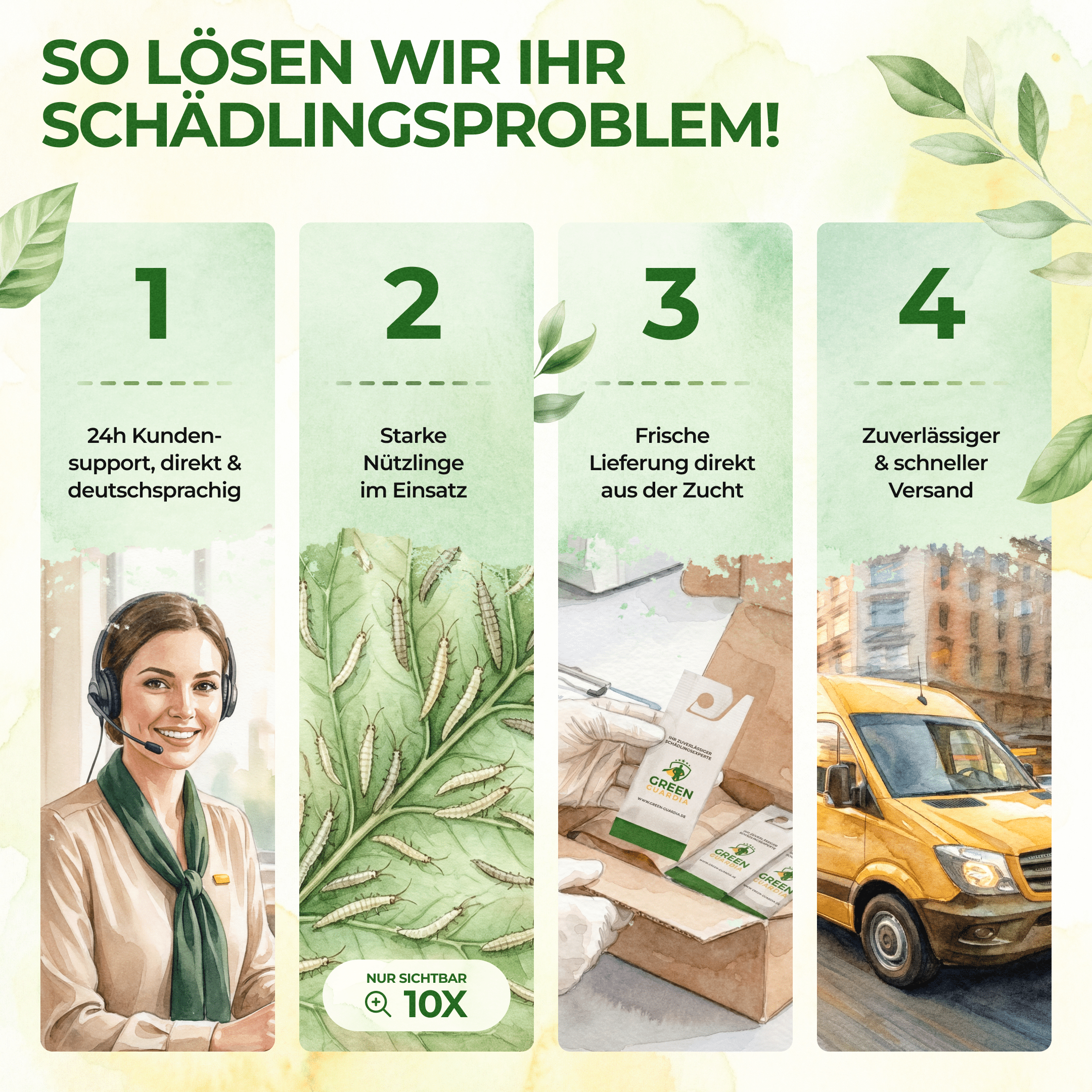 Florfliegenlarven - Eier gegen Blattläuse, Wollläuse - Green Guardia - Ihr Experte für Schädlinge und Pflanzen