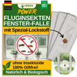 Flying insect window trap