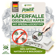 Käfer Falle