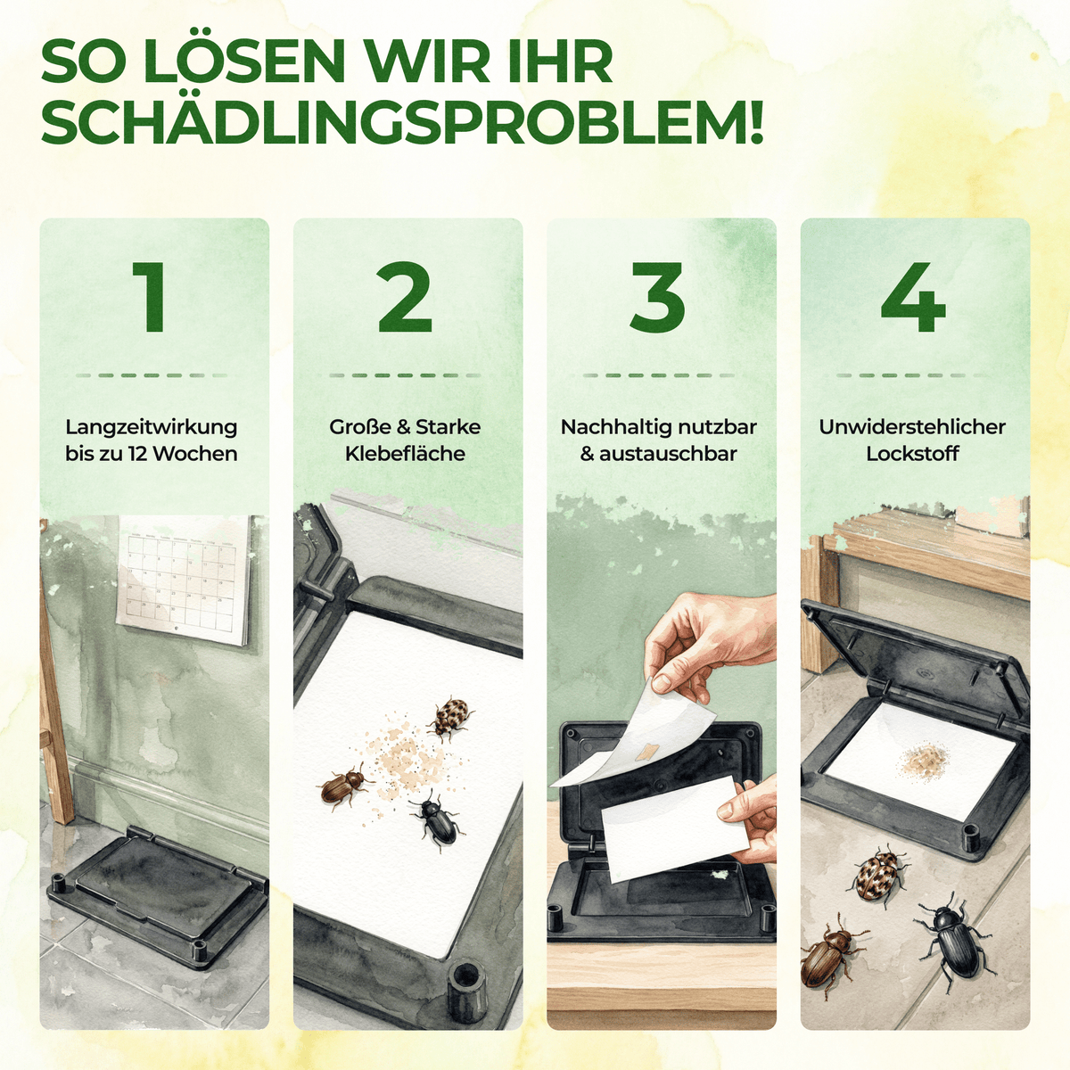 Käfer Falle - Green Guardia - Ihr Experte für Schädlinge und Pflanzen
