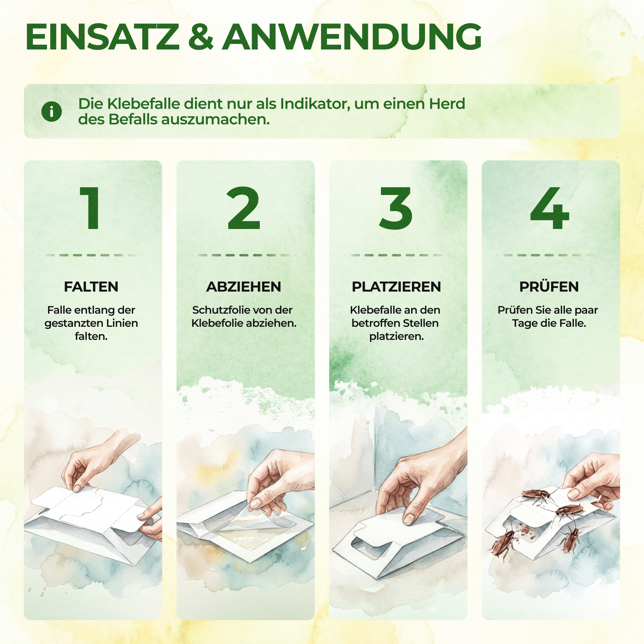 Kakerlaken / Schaben Falle - Green Guardia - Ihr Experte für Schädlinge und Pflanzen