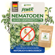 Nematoden gegen Gespinstmotte