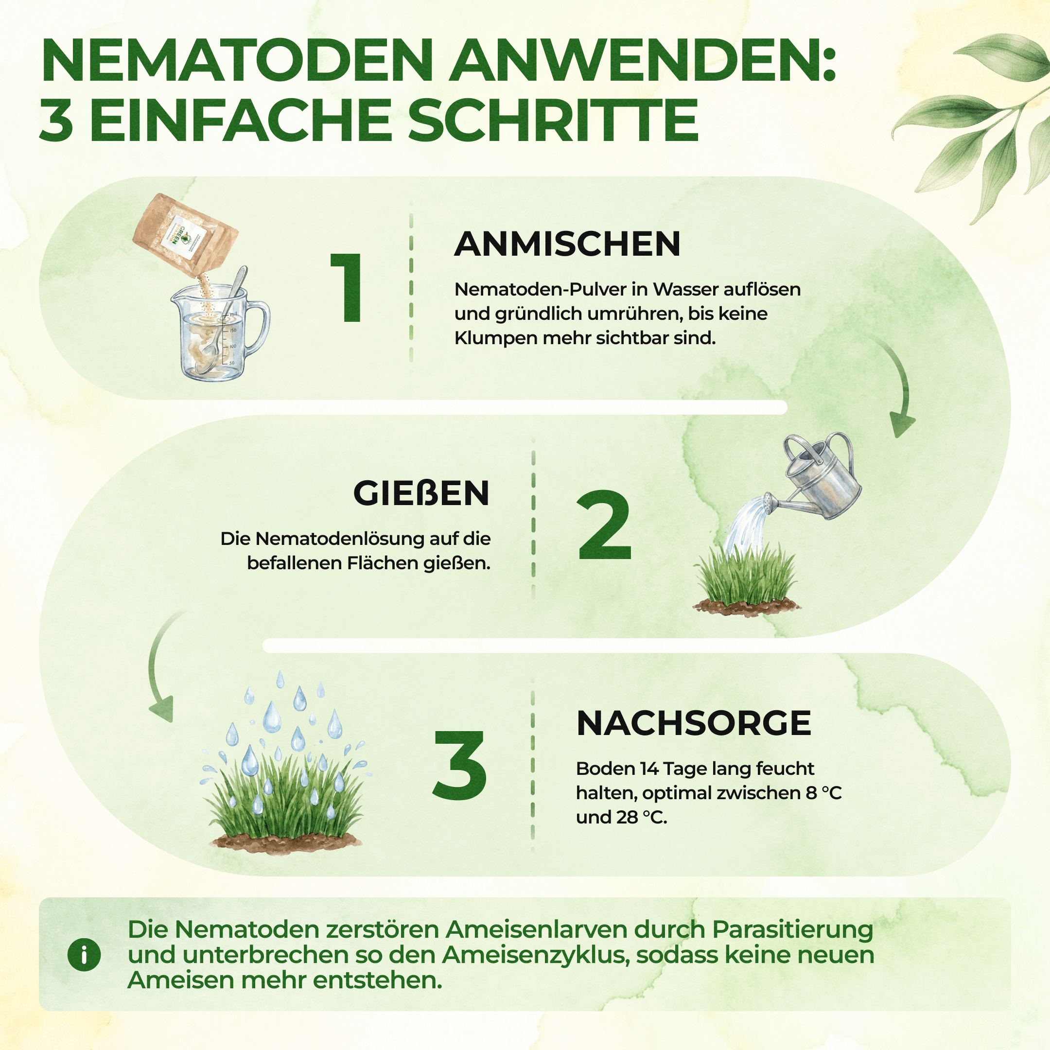 Nematoden gegen Kirschfruchtfliegen - Green Guardia - Ihr Experte für Schädlinge und Pflanzen