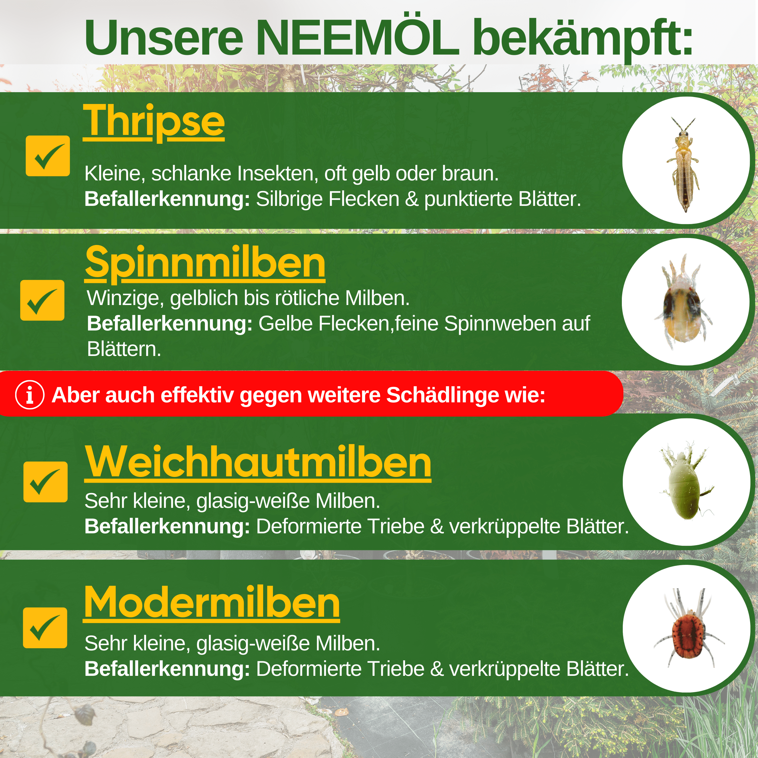 Power Neemöl gegen Thripse - Green Guardia - Ihr Experte für Schädlinge und Pflanzen