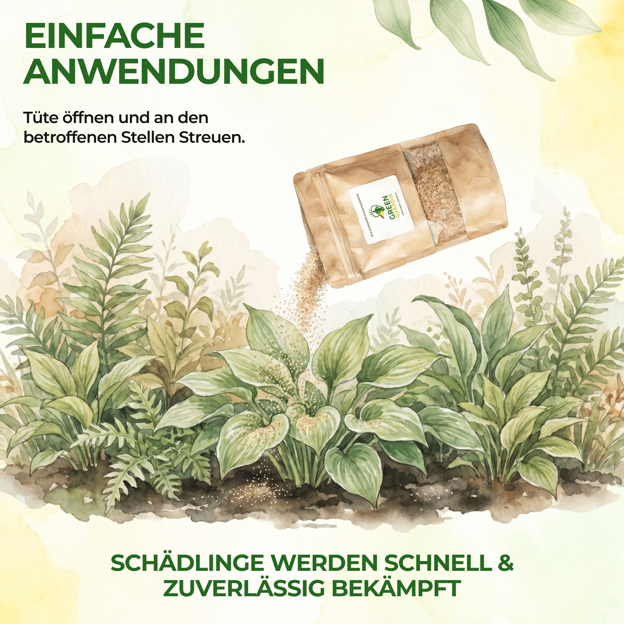 Raubmilben gegen Thripse - Green Guardia - Ihr Experte für Schädlinge und Pflanzen