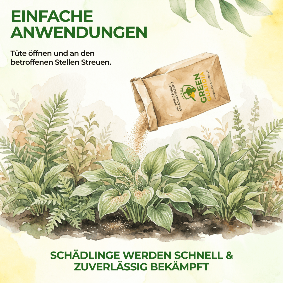 Raubmilben Mix gegen Trauermücken & Rote Vogelmilben - Green Guardia - Ihr Experte für Schädlinge und Pflanzen