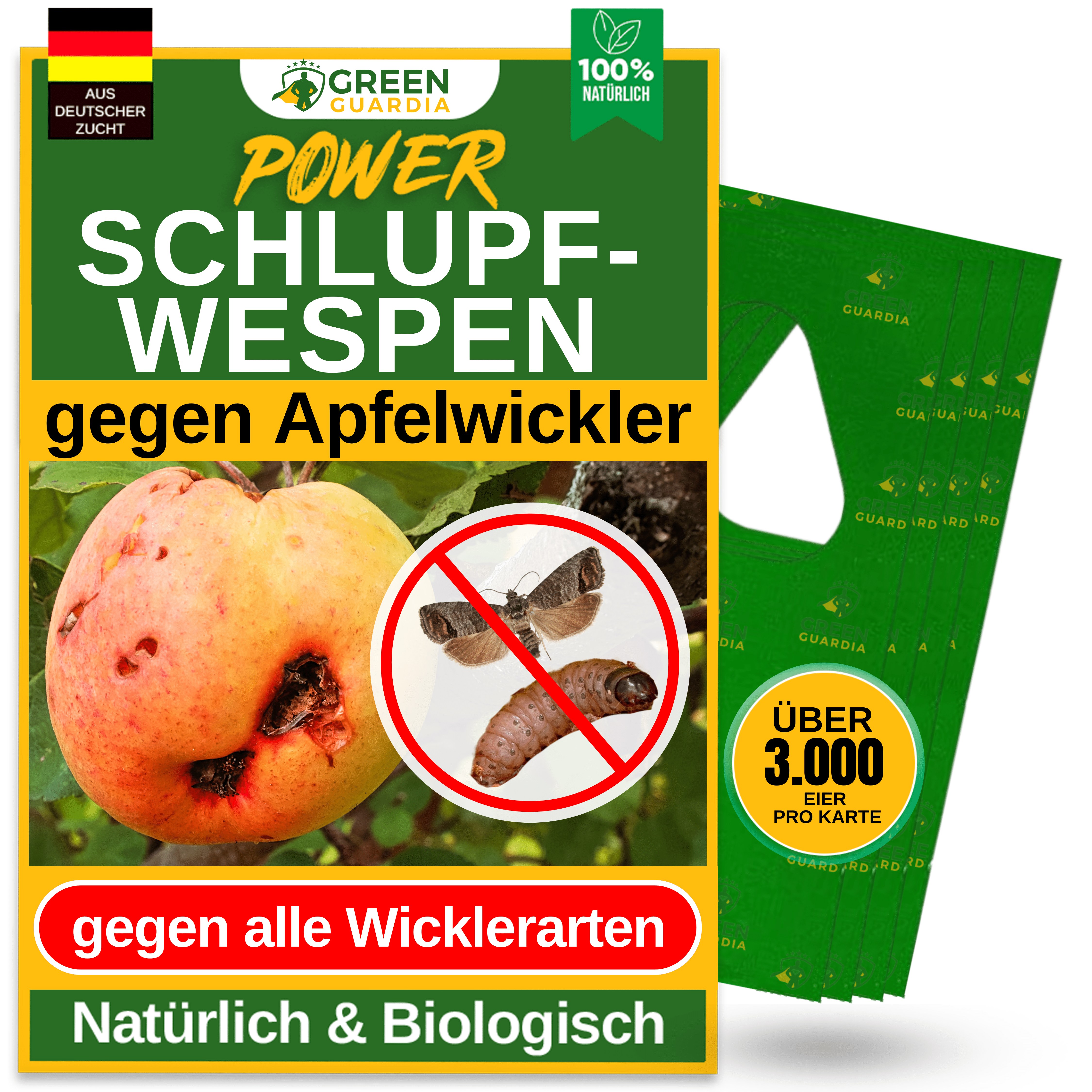 Schlupfwespen gegen Apfelwickler - Green Guardia - Ihr Experte für Schädlinge und Pflanzen