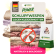 Parasitic wasps against clothes moths 
