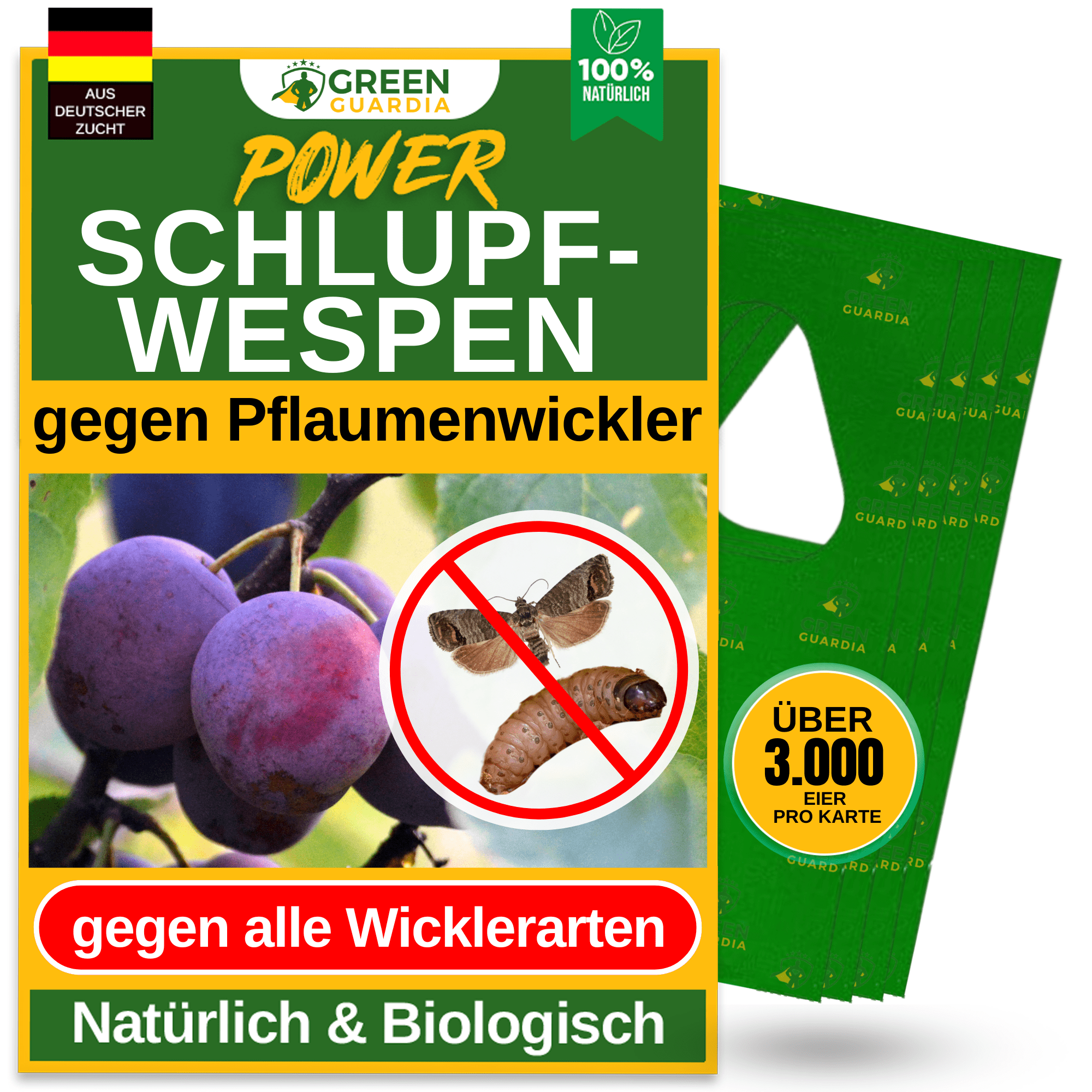 Schlupfwespen gegen Pflaumenwickler - Green Guardia - Ihr Experte für Schädlinge und Pflanzen