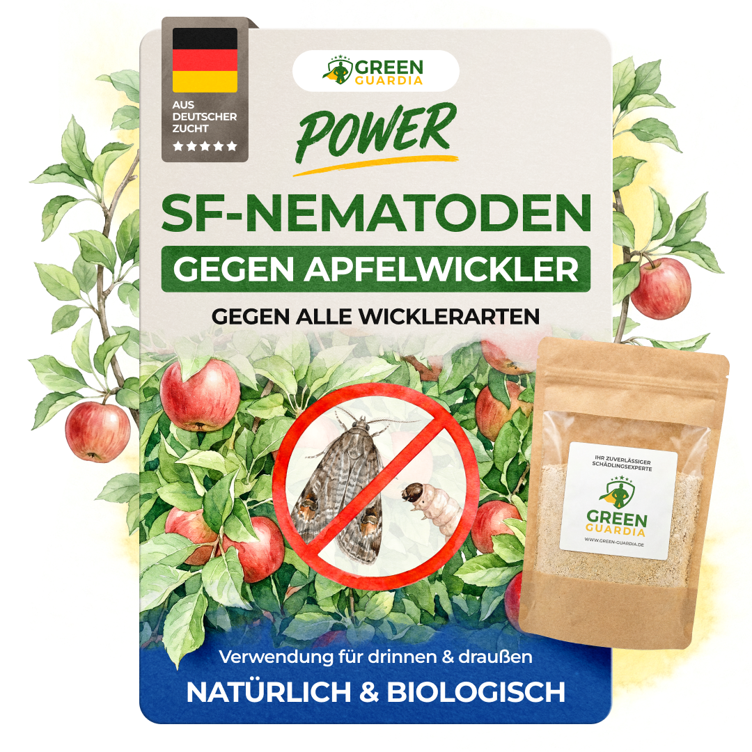SF nematodes against codling moths