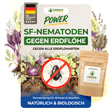 SF nematodes against flea beetles