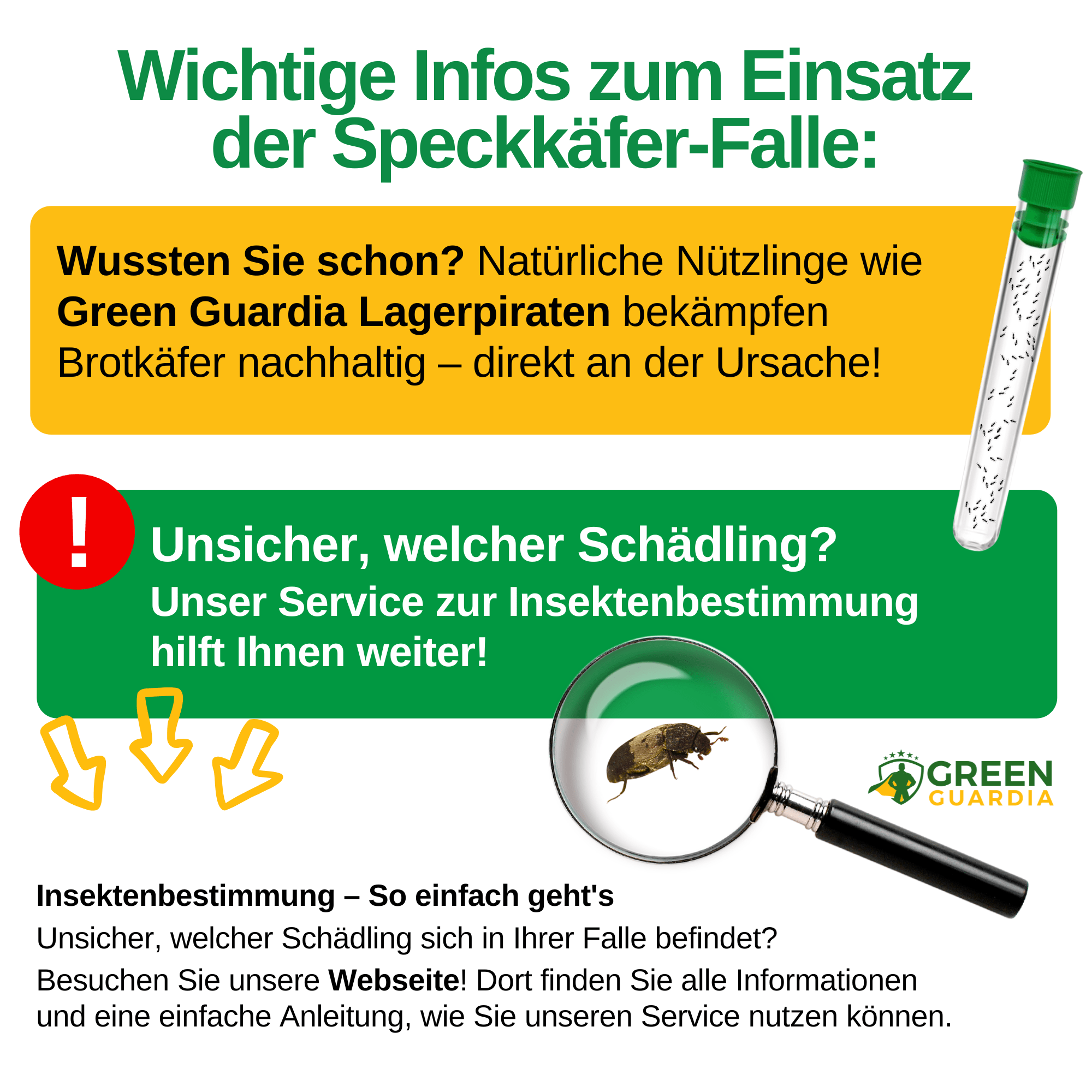 Speckkäfer Falle - Green Guardia - Ihr Experte für Schädlinge und Pflanzen