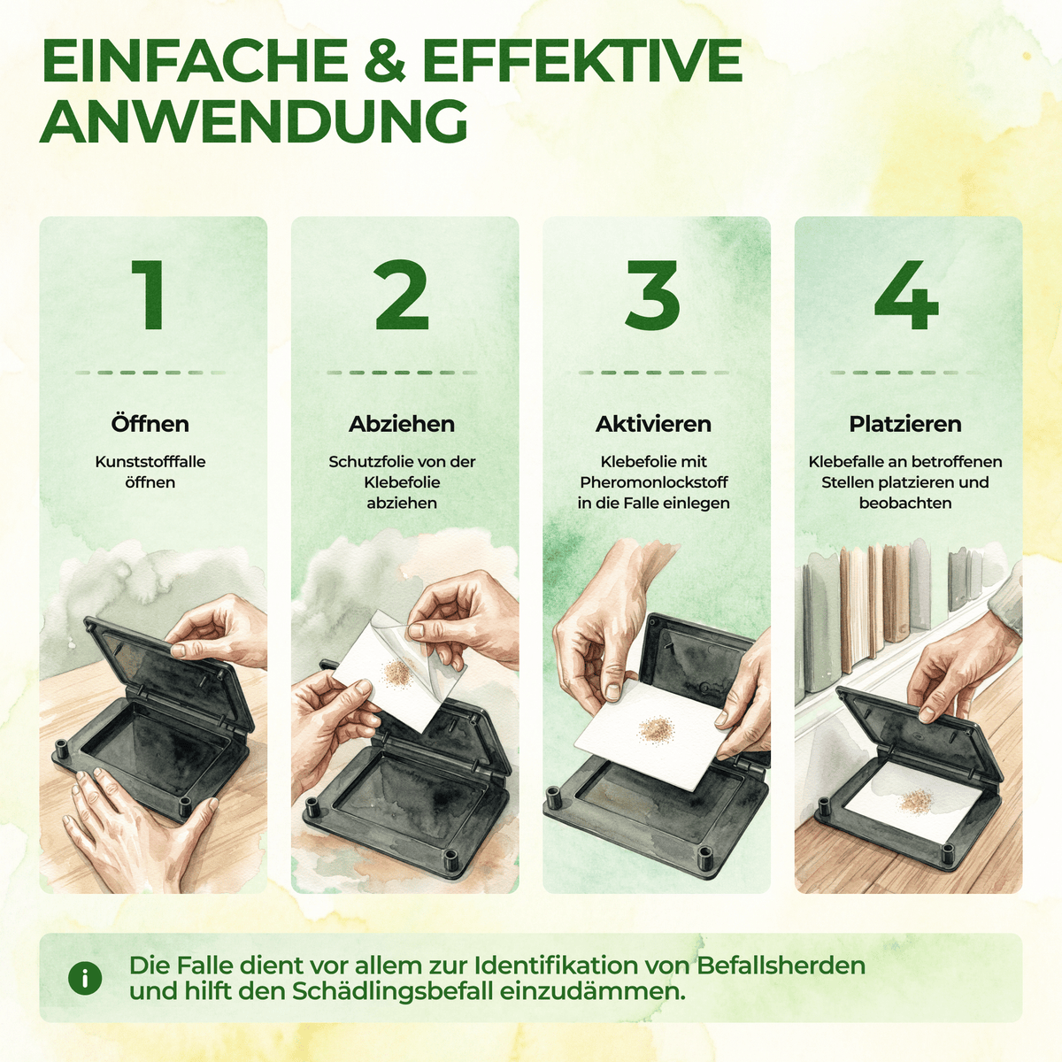 Teppichkäfer Falle - Green Guardia - Ihr Experte für Schädlinge und Pflanzen