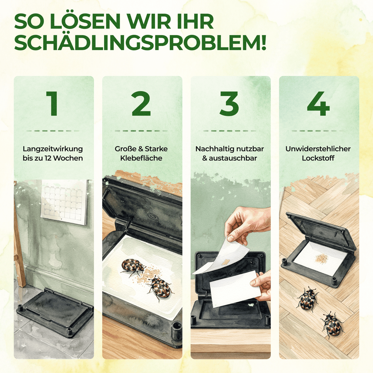 Teppichkäfer Falle - Green Guardia - Ihr Experte für Schädlinge und Pflanzen