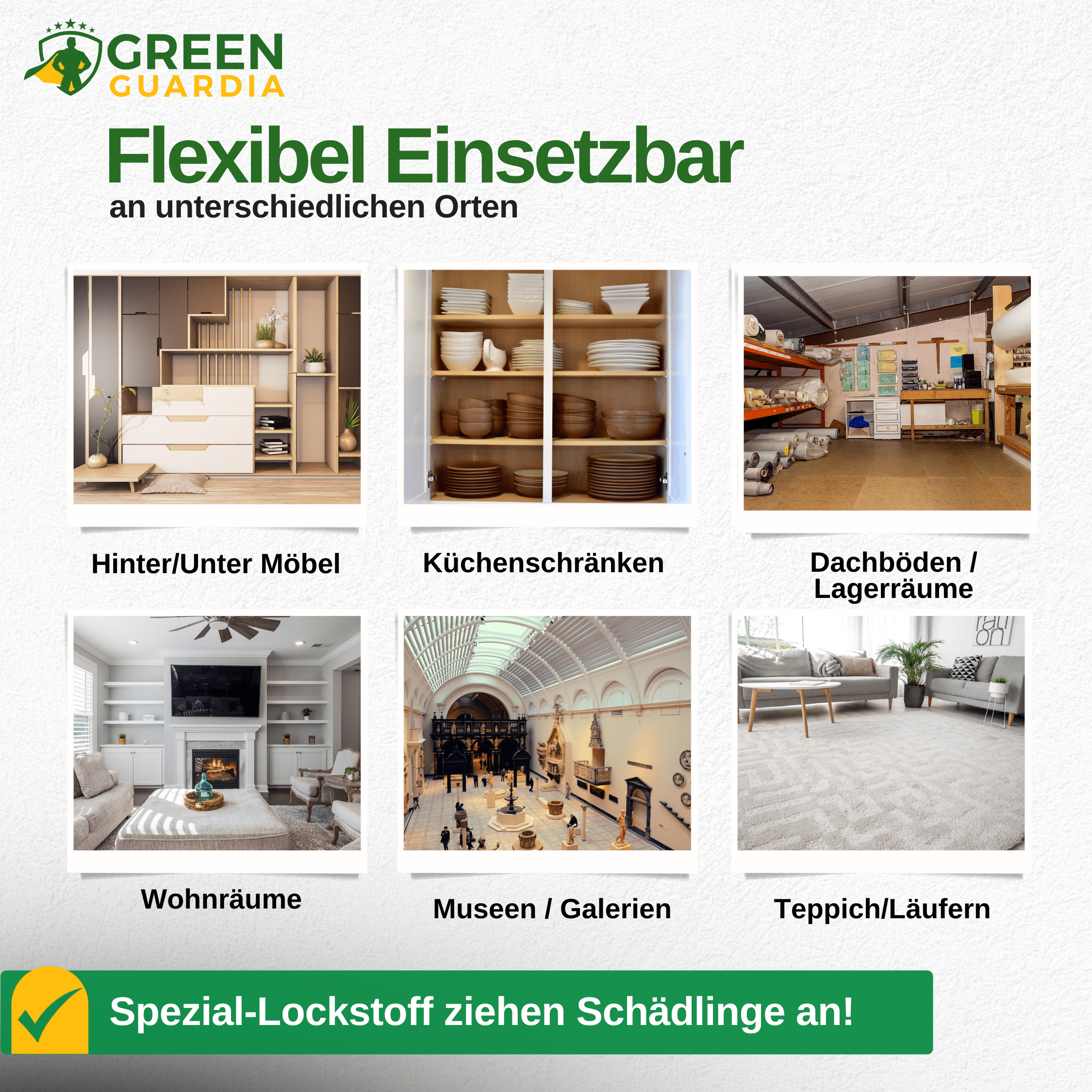 Teppichkäfer Falle mit Spezial - Lockstoff - Green Guardia - Ihr Experte für Schädlinge und Pflanzen