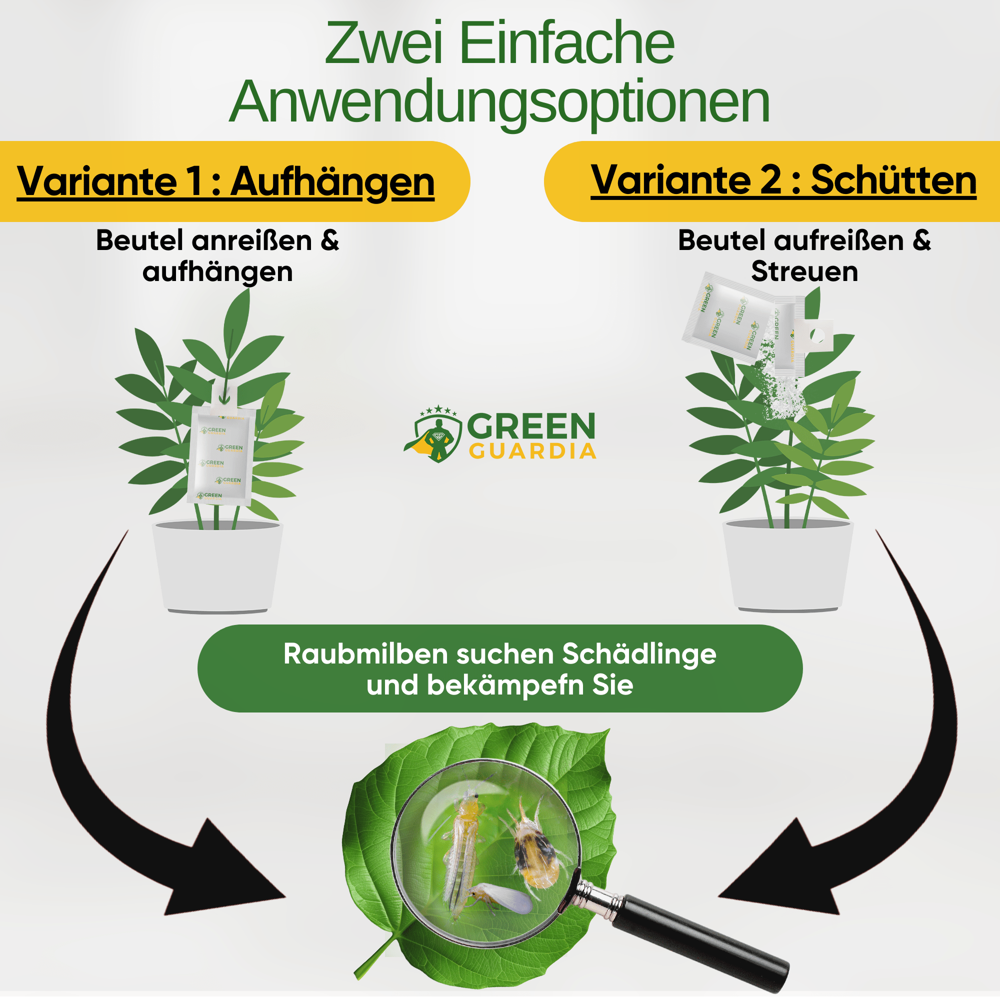 Turbo Raubmilben gegen Thripse, Spinnmilben & Weiße Fliegen - Green Guardia - Ihr Experte für Schädlinge und Pflanzen