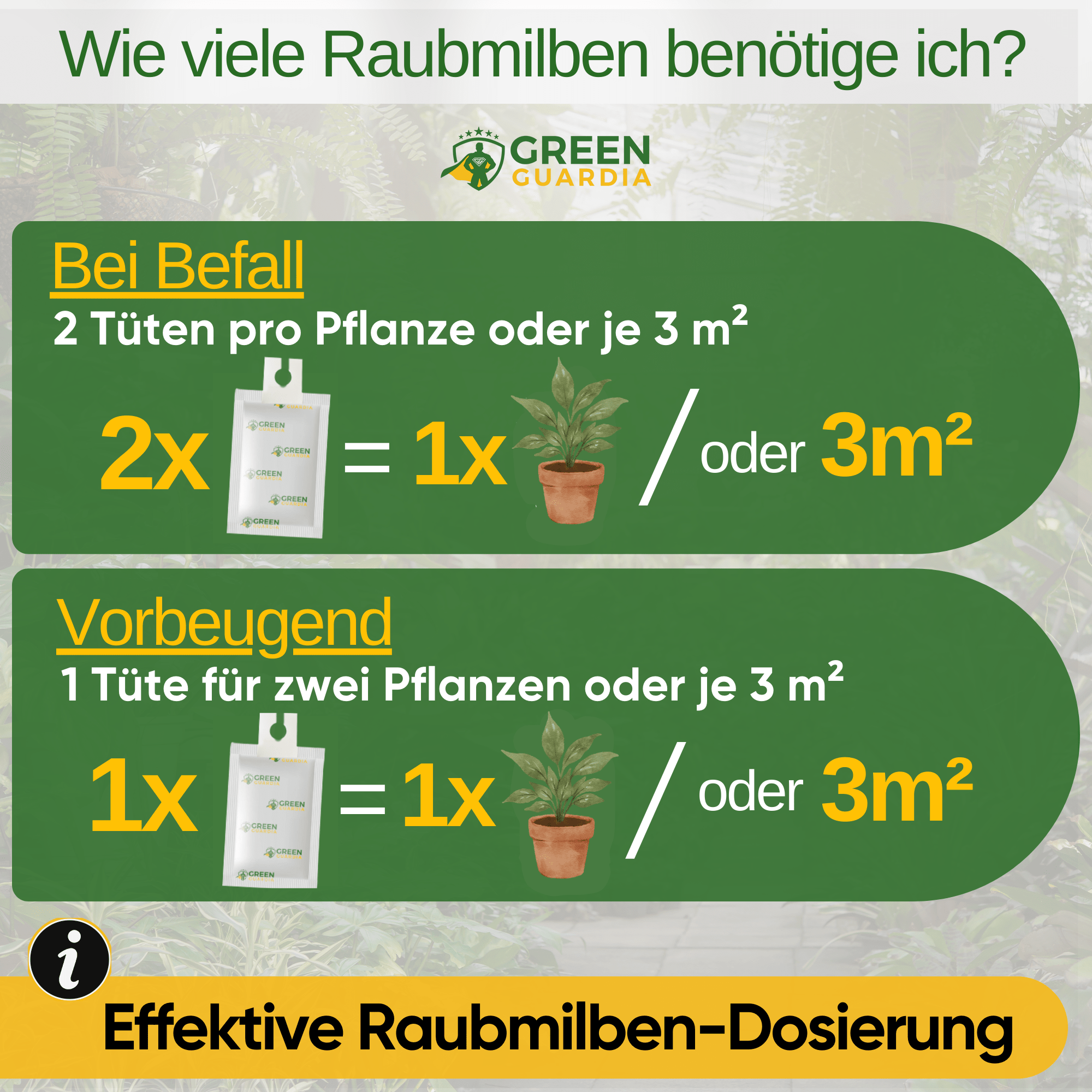 Turbo Raubmilben gegen Thripse, Spinnmilben & Weiße Fliegen - Green Guardia - Ihr Experte für Schädlinge und Pflanzen