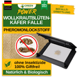 Woolly carpet beetle trap